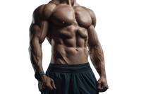 Testosterone Maxxing